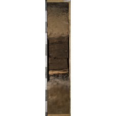 Подбур оподзоленный иллювиально-железистый на погребенном торфяннике на погребенном подзоле Подбур оподзоленный иллювиально-железистый на погребенном торфяннике на погребенном подзоле