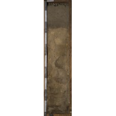 Агрозем Агрозем