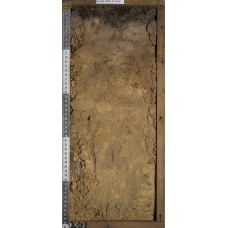 Подзол иллювиально-железистый или подбур оподзоленный