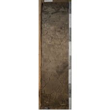 Подзол потечно-гумусовый иллювиально-гумусовый оруденелый Подзол потечно-гумусовый иллювиально-гумусовый оруденелый