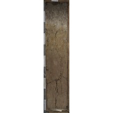 Элювозем окисленно-глеевый Элювозем окисленно-глеевый