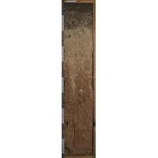 Дерново-элювиально-метаморфическая глинисто-иллювиированная остаточно-карбонатная Дерново-элювиально-метаморфическая глинисто-иллювиированная остаточно-карбонатная