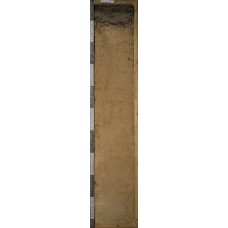 Ржавозем грубогумусовый оподзоленный Ржавозем грубогумусовый оподзоленный