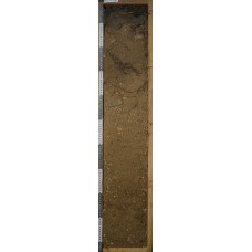 Дерновая железисто-метаморфизованная или ржавозем Дерновая железисто-метаморфизованная или ржавозем