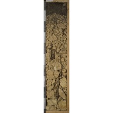 Карболитозем темногумусовый Карболитозем темногумусовый