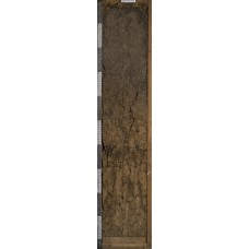 Темно-серая Темно-серая