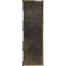 Агрочернозем Агрочернозем