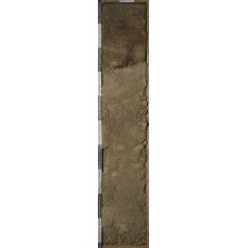 Агрочернозем глинисто-иллювиальный Агрочернозем глинисто-иллювиальный