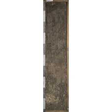 Агрочернозем миграционно-мицелярный Агрочернозем миграционно-мицелярный