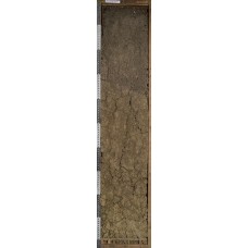 Чернозем текстурно-карбонатный на карбонатной глине Чернозем текстурно-карбонатный на карбонатной глине