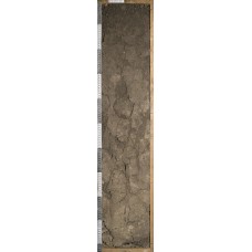 Чернозем сегрегационный Чернозем сегрегационный