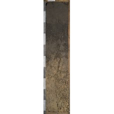 Чернозем Чернозем