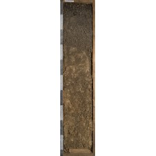 Темно-серая Темно-серая