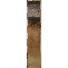 Подзол иллювиально-гумусовый оруденелый Подзол иллювиально-гумусовый оруденелый