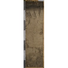 Серогумусовая оподзоленная или осолоделая или дерново-криометаморфическая Серогумусовая оподзоленная или осолоделая или дерново-криометаморфическая