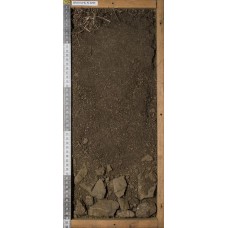 Серогумусовая натечно-карбонатная Серогумусовая натечно-карбонатная