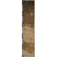 Аллювиальная темногумусовая омергеленная Аллювиальная темногумусовая омергеленная