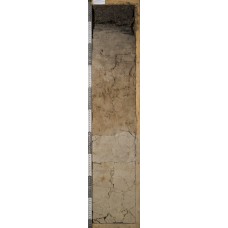 Торфяно-подзол глеевый Торфяно-подзол глеевый