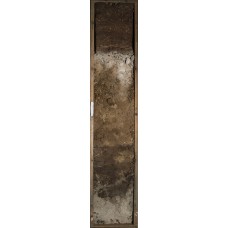 Подзол иллювиально-гумусовый