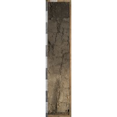 Агрчернозем сегрегационный11 Агрчернозем сегрегационный11