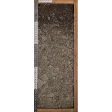 Дерновая грубогумусированная