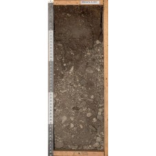 Торфяно-криозем Торфяно-криозем