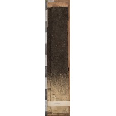 Черноземовидная почва Черноземовидная почва