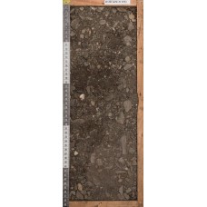 Криозем грубогумусовый Криозем грубогумусовый