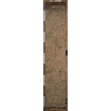 Бурозем на элюво-делювии флиша Бурозем на элюво-делювии флиша