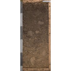 Серогумусовая Серогумусовая