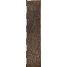 Чернозем сегрегационный солонцеватый Чернозем сегрегационный солонцеватый