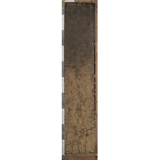 Темно-серая на покровных суглинках Темно-серая на покровных суглинках