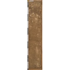 Солонец светлый Солонец светлый