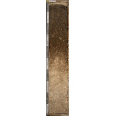 Коричневая на дессовидных суглинках Коричневая на дессовидных суглинках