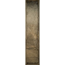 Дерново-элювиально-метаморфическая Дерново-элювиально-метаморфическая