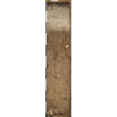 Подзолистая постагрогенная на карбонатной морене Подзолистая постагрогенная на карбонатной морене