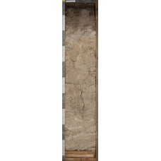 Подзолистая потечно-гумусовая глееватая11 Подзолистая потечно-гумусовая глееватая11