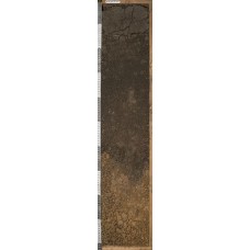 Чернозем глинисто-иллювиальный Чернозем глинисто-иллювиальный