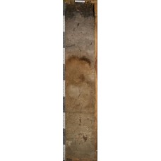 Подзол грубогумусовый иллювиально-гумусовый глееватый Подзол грубогумусовый иллювиально-гумусовый глееватый