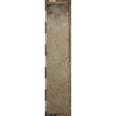 Дерново-глеевая оподзоленная Дерново-глеевая оподзоленная