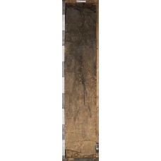 Агрочернозем сегрегационный Агрочернозем сегрегационный