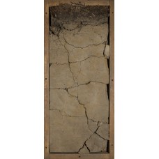 Глеезем Глеезем