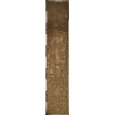 Каштановая солонцеватая Каштановая солонцеватая