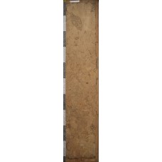 Бурозем смытый Бурозем смытый