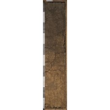 Темно-серая Темно-серая