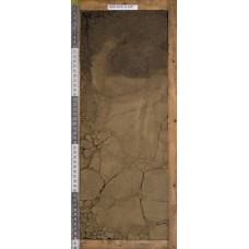 Темногумусовая криотурбированная Темногумусовая криотурбированная