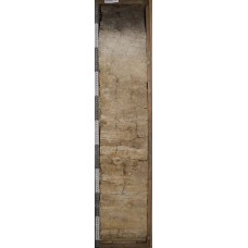 Дерново-элювиально-метаморфическая перегнойно-глееватая Дерново-элювиально-метаморфическая перегнойно-глееватая