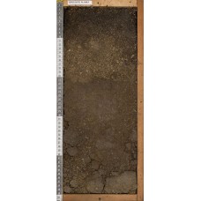 Криозем грубогумусовый Криозем грубогумусовый