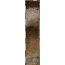 Торфяно-подзол иллювиально-гумусовый Торфяно-подзол иллювиально-гумусовый