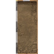 Глеезем Глеезем